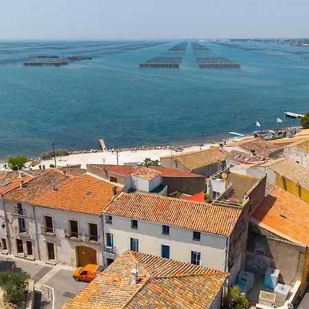 Loft De Charme Lejlighed Bouzigues