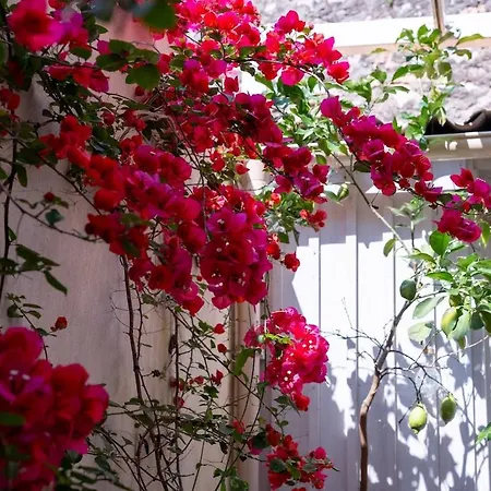 Loft De Charme Lejlighed Bouzigues