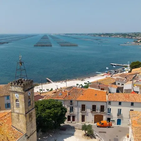 Lejlighed Loft De Charme Bouzigues